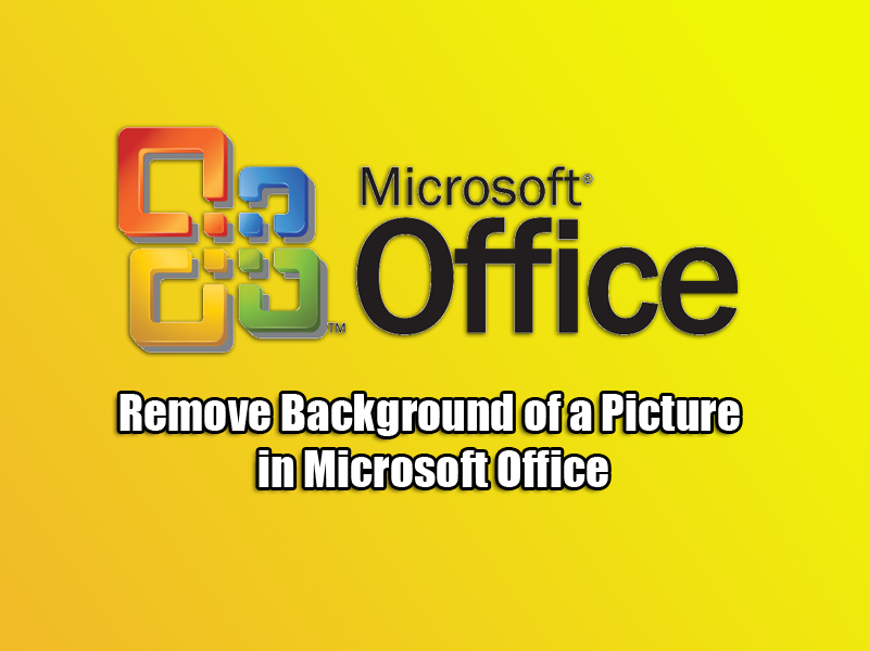 Remove Background of a Picture in Microsoft Office
