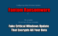 Fake Critical Windows Update That Encrypts All Your Data