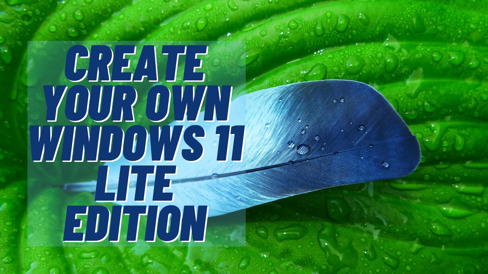 Create Your Own Windows 11 Lite Edition 